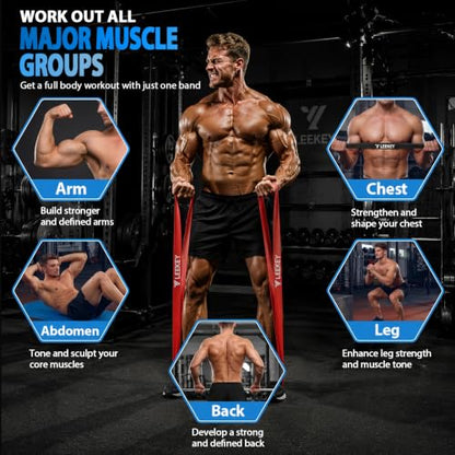 LEEKEY Resistance Bands for Pull Up Assist, Exercise & Workout Bands Set - color: 15-125LBS COLOR
