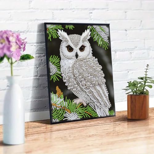 Owl Diamond Art Painting Kits for Adults,Animals Birds Pearl Painting Kits | 5D Diamond Art Kits for Adults Beginner,DIY Pearl Diamond Dots Gem Art Craft Kits for Home Wall Decor 12 x 16 inch - color: HL6670