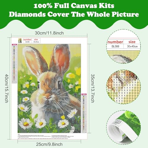 SENQAO Rabbit Diamond Art Kits for Adults, Easter Diamond Painting Kits for Beginners, 5D Round Full Drill Winter Gem Art Kit, Home Wall Decor Gifts 12x16 inch - color: rabbit - 02