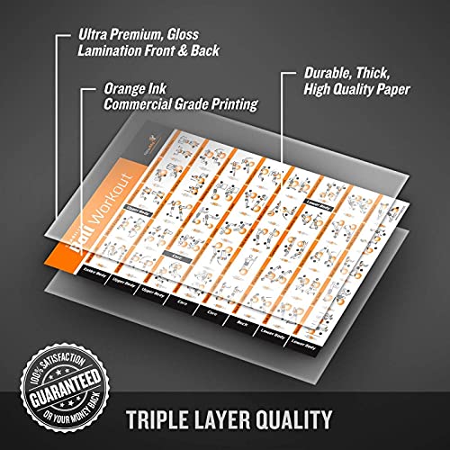 NewMe Fitness Workout Posters for Home Gym - Exercise Posters for Full Body Workout - Core, Abs, Legs, Glutes & Upper Body Training Program