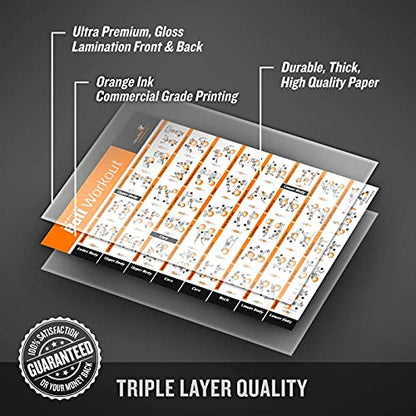 NewMe Fitness Workout Posters for Home Gym - Exercise Posters for Full Body Workout - Core, Abs, Legs, Glutes & Upper Body Training Program