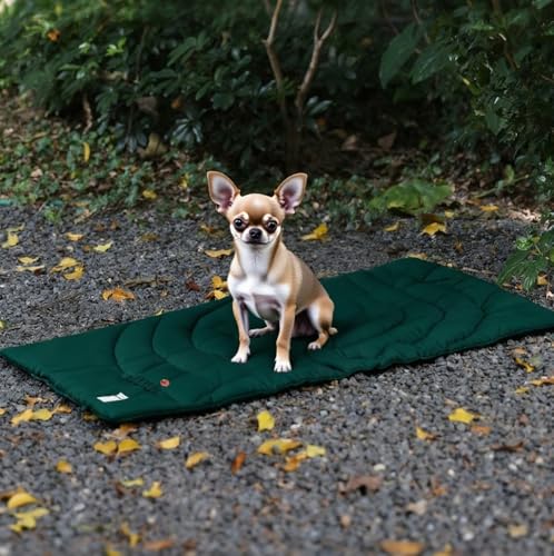 Lightly Padded Roll-Up Travel Dog Mat Settle & Place Training - color: Yellow, size: Medium(37.4"x25.6")