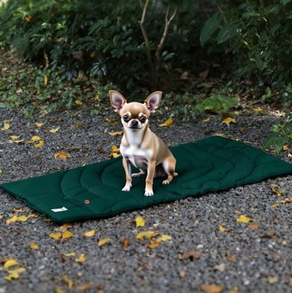 Lightly Padded Roll-Up Travel Dog Mat Settle & Place Training - color: Green, size: Large(46.46"x26.38")