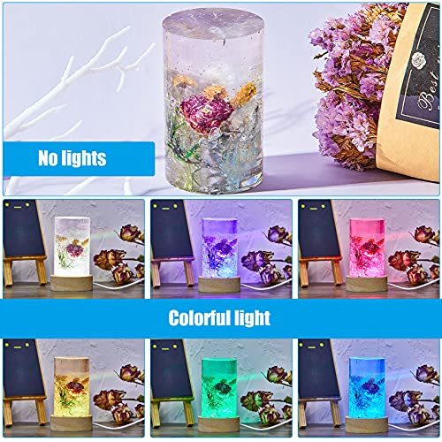 2 Pieces DIY Resin Lamp Mold Kit for Flower Preservation, Large Cylinder Resin Casting Mold with 2 USB Wooden LED Light Bases, Preserved Flower Display Lamp Making Kit, Handmade Gift Home Decoration