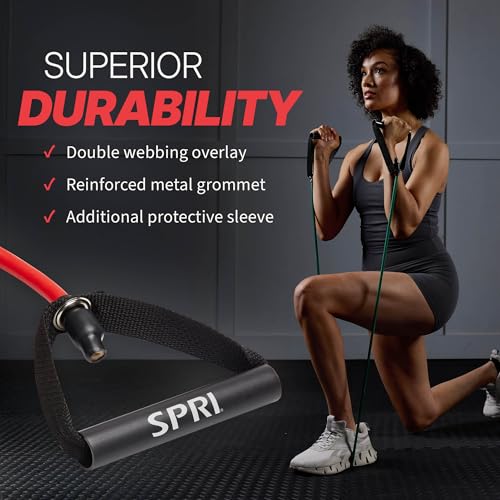 SPRI Xertube Resistance Bands with Handles – All Exercise Cords Sold Separately with Home Gym Workout Fitness Door Anchor Attachment Option - size: Multi Pack, style: 도어 부착 없음
