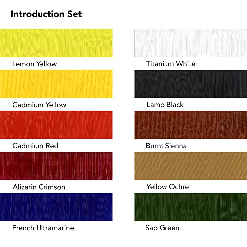 Daler Rowney Georgian 10-Tube Introductory Artist Oil Paint Set - Painting Set for Canvas Paper and More - Oil Painting Supplies for Artists and Students - Oil Paints for All Skill Sets - style: 10 Pack Intro
