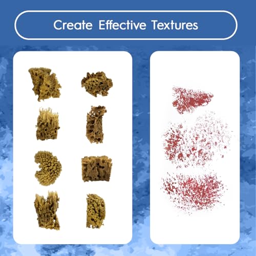 NAROA Artist Natural Sea Sponges for Painting 8 Pack | Unbleached Unique Art Tool Set | Suitable for Acrylic Watercolor, Marbling, Texturing, Pottery, Ceramics