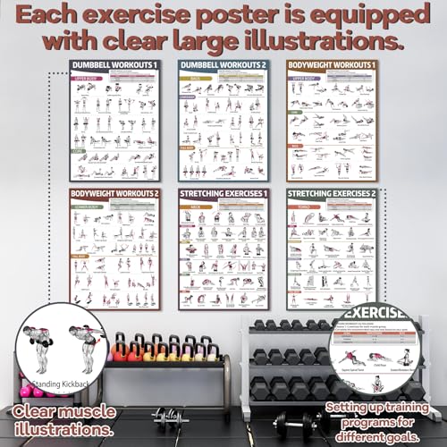 gisgfim 6PCS Workout Posters for Home Gym Dumbbell Bodyweight Stretching Workout Exercise Chart - color: Retro