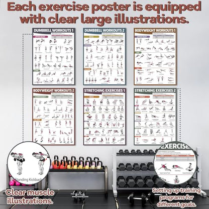 gisgfim 6PCS Workout Posters for Home Gym Dumbbell Bodyweight Stretching Workout Exercise Chart - color: Retro