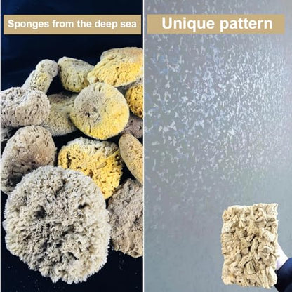 Natural Sea Sponge Dauber for Wall Texture Paint & DIY Art Painting | Natural sea sponge for painting,creates authentic organic wall effects,ideal for mottled texture finishing,great for DIY&pro