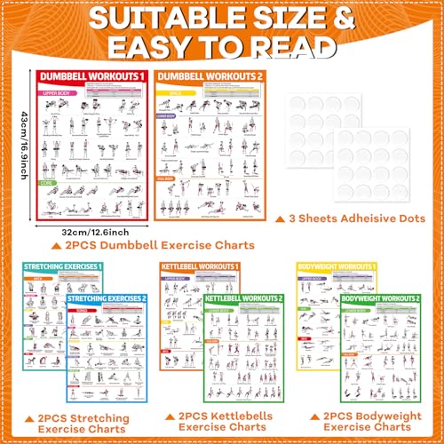 gisgfim 8PCS Workout Posters for Home Gym-Dumbbells, Bodyweight, Stretching, Kettlebell Exercise Chart Full Body Laminated Fitness Training Poster Muscle Engagement Chart Garage Accessories Wall Decor