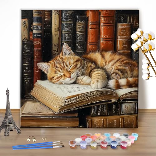 EOBROMD Paint by Numbers Kits for Adults Sleepy Cat, DIY Painting Kits for Adults Beginner, Acrylic Paint Oil by Numbers for Home Decor Gift 16x16inch(Without Frame) - color: 01-Sleepy Cat