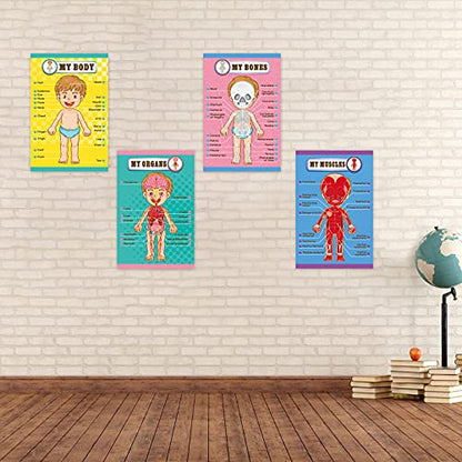 Outus 4 Pcs Human Body Parts Posters for Kids, 11 x 17 Inch | Body Parts Wall Charts, Cartoon Anatomy Chart Educational Preschool Kindergarten Teaching Supplies, Classroom Decoration
