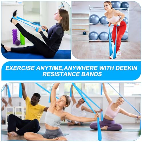 DEEKIN 10 Pcs Resistance Bands Professional Exercise Elastic Bands Latex-Free Yoga Starter Set for Pilates, Physical Therapy, Strength Training, Yoga, Working Out for Women Home Gym - color: Blue, style: 20 Lbs