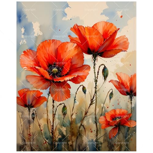 Flowers Paint by Numbers Kit for Adults - DIY Field of Red Poppies Painting on Canvas, Acrylic Paint Set, Suitable for Beginners, Floral Art for Home Decoration or Gifts(12X16IN Framed) - color: TCXY06534, size: 12X16IN Framed