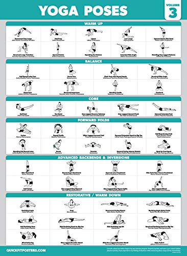 Palace Learning 4 Pack - Yoga Poses Poster Volume 1, 2 & 3 + Yoga Positions with Yoga Blocks - Beginner Yoga Position Exercise Charts - English and Sanskrit Names