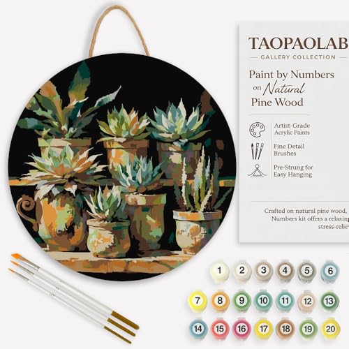 Terracotta Succulents Paint by Numbers Kit for Adults on Wood Board – DIY Rustic Potted Plants Wood Craft Painting Kit, 12 in Round, Acrylic Paint Set, Beginner-Friendly, Relaxing Home Decor Gift - color: FM06090