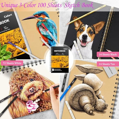 Caliart 176PCS Sketching Kit & 72 Colors Brush Pens