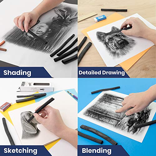 Pacific Arc Large Vine Charcoal Stick 5/Pkg, Soft, Black, Thick Willow Charcoal for Sketching and Drawing - style: Large | 5 Sticks