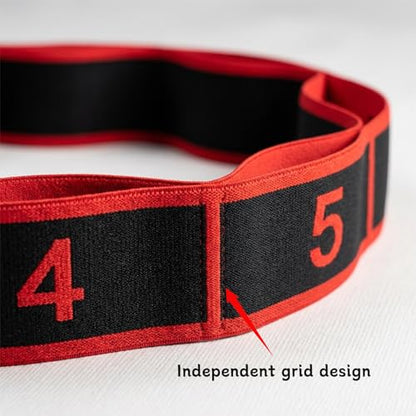 Fitness Resistance Bands with Handles, Number Stretch Resistance Band with Clear Markings, Adjustable 8-Section Elastic Training Bands,Fitness Resistance Band for Stretching and Yoga