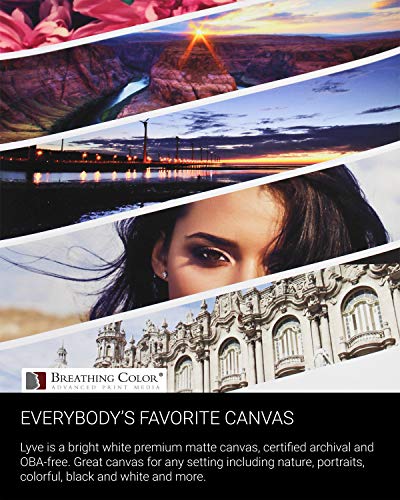 Premium Lyve Matte Canvas Sheets Professionals choice for Archival Inkjet for Use on Epson, Canon and HP printers. 17 inch x 22 inch 25sh - size: sheets-17in-x-22in-25sh