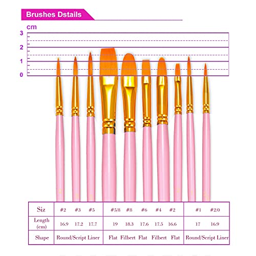 BOSOBO Paint Brushes Set, 10 Pieces Round Pointed Tip Paintbrushes Nylon Hair Artist Acrylic Paint Brushes for Acrylic Oil Watercolor, Face Nail Body Art, Miniature Detailing & Rock Painting, Pink - color: Pink, size: 1 Pack