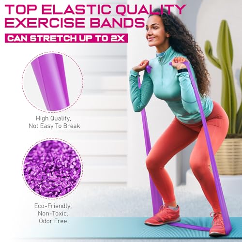 Resistance Bands and Exercise Handles, 4.9ft Exercise Bands for Physical Therapy, Stretch, Recovery, Pilates, Rehab, Strength Training Equipment