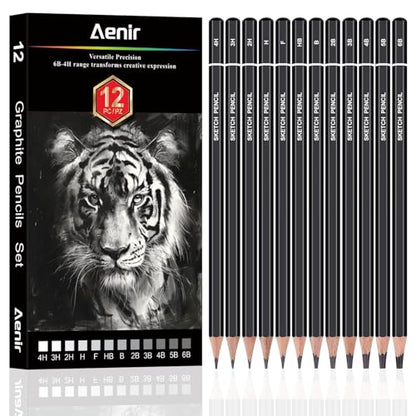 Aenir Drawing Pencils for Sketching, Set of 12 Sketch Pencils, 6B-4H | Art Supplies for Beginners & Artists: Art Pencils for Sketching Projects, Graphite Pencils for Drawing and Shading - size: 1 Count (Pack of 12)