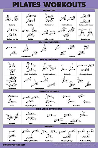 Palace Learning 4 Pack - Warm Up & Yoga Workouts + Stretching & Pilates Exercises - Set of 4 Laminated Charts (18" x 24") - color: LAMINATED