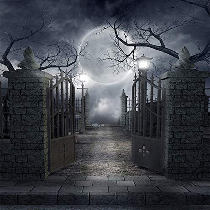 10X10FT Halloween Theme Pictorial Cloth Customized Photography Backdrop Background Studio Prop TP17C - size: 10X10FT