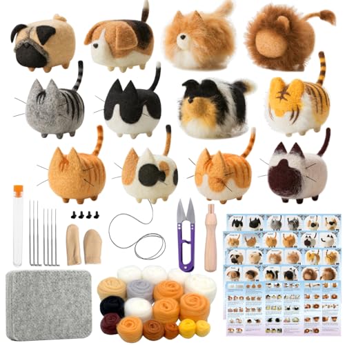 Truslin Needle Felting Kit, 12 Pcs Doll Making Needle Felting Starter Kit | with Instruction, Wool Felting Mat and DIY Needle Felting Supply for DIY Craft Animal Home Decoration - color: 12 Pcs
