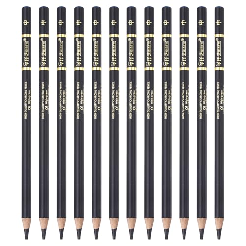 PATIKIL 12Pcs Drawing Pencils for Sketching, Medium Hard Refill Sketch Pencils for Drawing, Graphite Art Pencil Set Professional Resistant Lead for Painting Shading Artist Office Supplies - size: Medium Hard