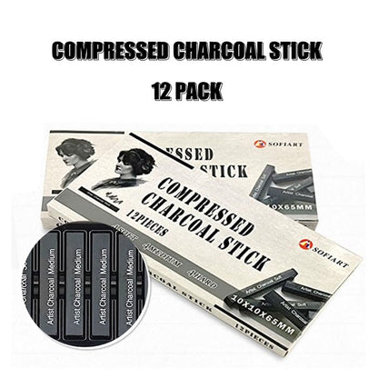 Charcoal sticks for artist
