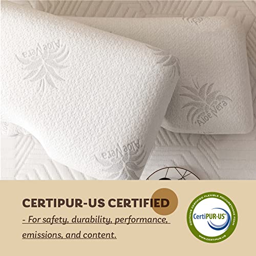 EGOHOME Cervical Neck Pillow, Aloe Vera Memory Foam Pillow, 30x16 Inches | Side Sleeper Pillow for Sleeping, Ergonomic Neck Support Pillow for Neck Pain Relief, Suit for Side Back Stomach Sleepers