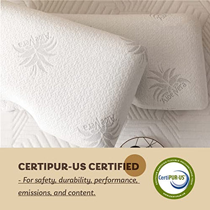 EGOHOME Cervical Neck Pillow, Aloe Vera Memory Foam Pillow, 30x16 Inches | Side Sleeper Pillow for Sleeping, Ergonomic Neck Support Pillow for Neck Pain Relief, Suit for Side Back Stomach Sleepers