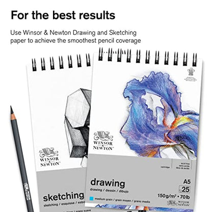 Winsor & Newton Studio Collection, Sketching Pencils, Set of 10 | Soft, Thick Core pencils, Varied Hardness, Soft Smooth Texture, Easy Blending, Stylish Metal Tin Included, High Quality Lead - style: 10 Sketching Pencils