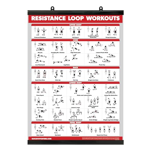 Palace Learning QUICKFIT Resistance Loop Bands Workout Poster - with Plastic Frame - Exercise Chart for Resistance Band Loops - 18" x 24" - color: with Plastic Frame