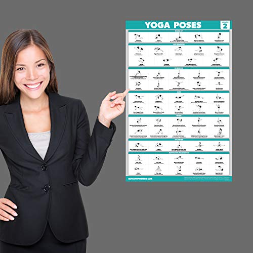 Palace Learning 4 Pack - Yoga Poses Poster Volume 1, 2 & 3 + Yoga Positions with Yoga Blocks - Beginner Yoga Position Exercise Charts - English and Sanskrit Names