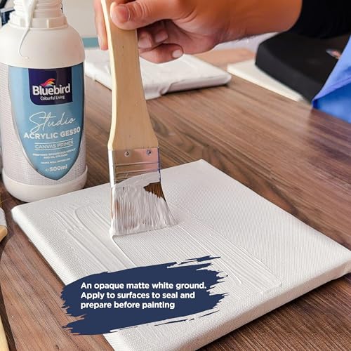 BLUEBIRD Canvas Board Set of 10 (2 each of 4x4, 5x7, 8x10, 9x12, 11x14) Studio Acrylic Gesso 500ml - White Liquid Gesso Primer