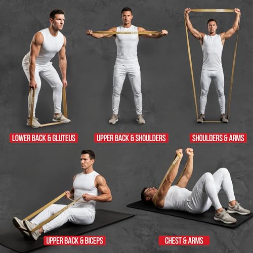 COBRASIX Long Resistance Bands for Working Out | Set of 6 Exercise Bands for Full-Body Training | Pull Up Bands for Home Gym with Handles, Door Anchor and Bar Options | for Men & Women