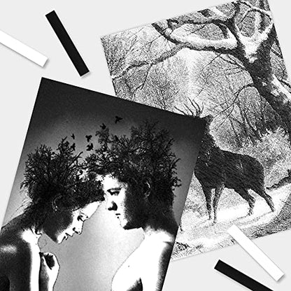HA SHI Soft Chalk Pastels for Adult Artists, 3 Black + 3 White Sticks | Two tone extremes in one pack: darken shadows and lift highlights without buying a full color set. Seal with fixative. - color: Black & White (6 Sticks)