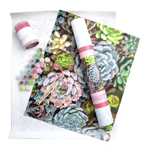 Pink Picasso Paint by Number Kit, Adults & Teens,16x20,Sensitive Succulents | Botanical Floral Collection, Acrylic Paints and Brushes included, Pre-printed high quality canvas, DIY art kit, Gift-ready - color: Sensitive Succulents