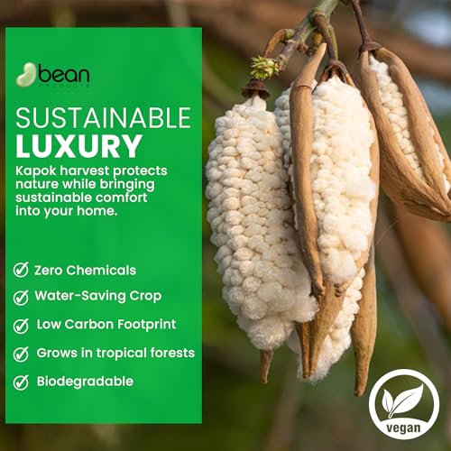 Bean Products Premium Kapok Fill | 1 lbs | 100% Organic Kapok Fiber | Chemical Free and Hypoallergenic | Perfect for Pillows, Pet Beds, Couches & More | Made in USA - size: 1 Pound (Pack of 1)