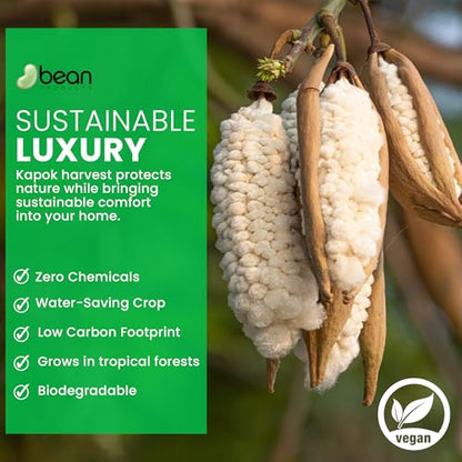 Bean Products Premium Kapok Fill | 1 lbs | 100% Organic Kapok Fiber | Chemical Free and Hypoallergenic | Perfect for Pillows, Pet Beds, Couches & More | Made in USA - size: 1 Pound (Pack of 1)