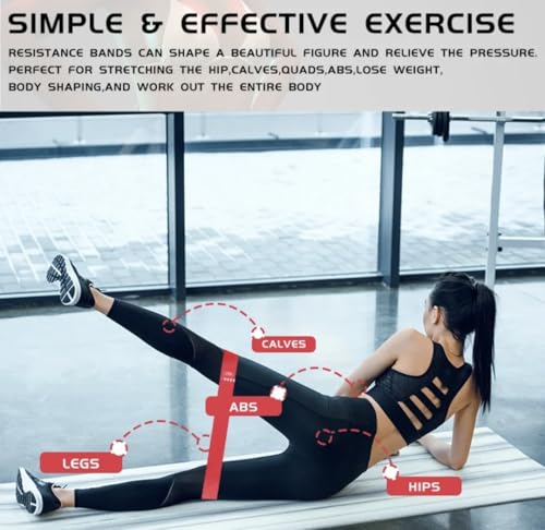 Resistance Loop Exercise Bands with Instruction Guide and Carry Bag, Set of 5