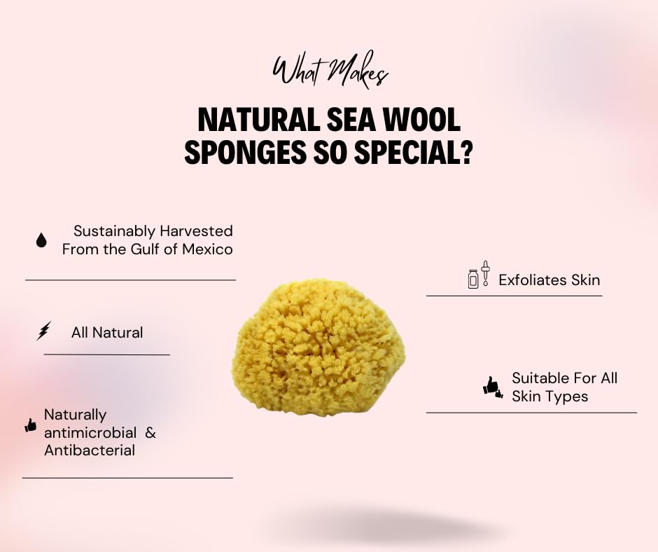 Sea Wool Sponge 5-6" (Large) by Bath & Shower Express ® Natural Renewable Resource, Esponja for Exfoliating and Washing Body