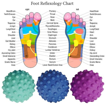 Foot Massage Ball Myofascial Release, Pain Relieve from Plantar Fasciitis, Massage Tool for Tight Muscles and Sore Feet, Restore Foot Massage Roller - color: 3 Massage Ball