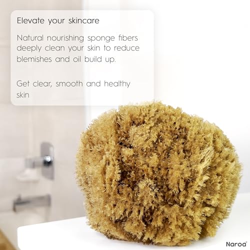 Naroa Exfoliating Natural Sponge for Shower Large | Bath Sea Loofah for Healthy Skin | Unbleached Bathing Body Scrubber Puff | Plastic Free (L)