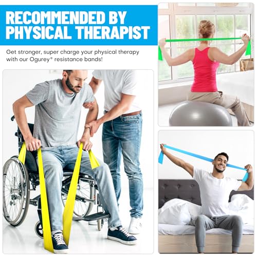 Resistance Bands, Professional Exercise Bands, Physical Therapy Bands for Strength Training, Yoga, Pilates, Stretching, Recovery, Stretch Elastic Band for Working Out, Workout Bands for Home Gym