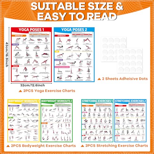 gisgfim 6PCS Workout Posters for Home Gym-Yoga Poses, Stretching and Bodyweight Exercise Charts Yoga Positions Poster Full Body Laminated Fitness Training Guide for Beginners Garage Wall Decor